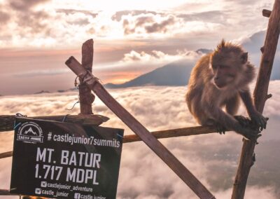 Opice na sopce Mt. Batur